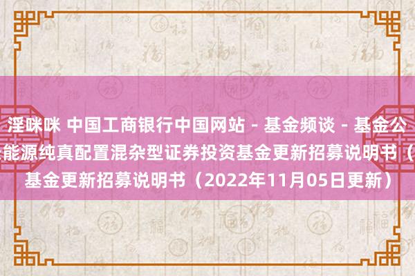 淫咪咪 中国工商银行中国网站－基金频谈－基金公告栏目－金元顺安成长能源纯真配置混杂型证券投资基金更新招募说明书（2022年11月05日更新）