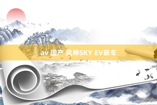 av 国产 风神SKY EV新车