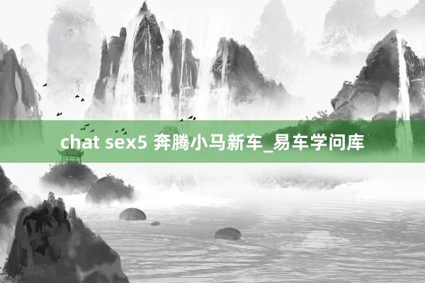 chat sex5 奔腾小马新车_易车学问库
