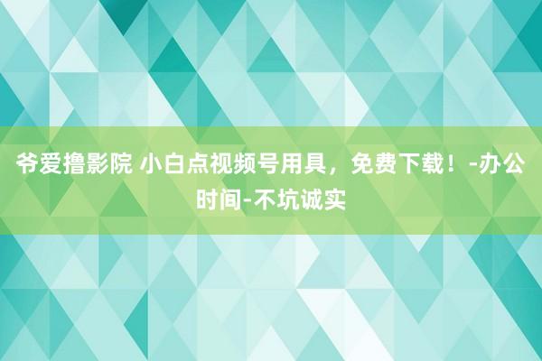爷爱撸影院 小白点视频号用具，免费下载！-办公时间-不坑诚实