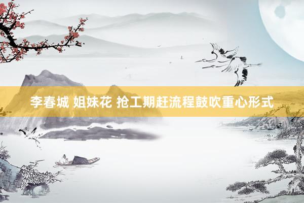 李春城 姐妹花 抢工期赶流程鼓吹重心形式