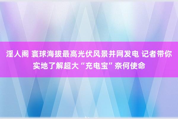 淫人阁 寰球海拔最高光伏风景并网发电 记者带你实地了解超大“充电宝”奈何使命