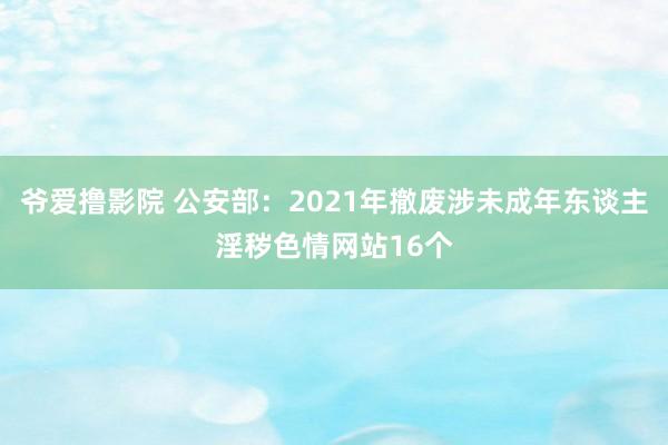 爷爱撸影院 公安部：2021年撤废涉未成年东谈主淫秽色情网站16个