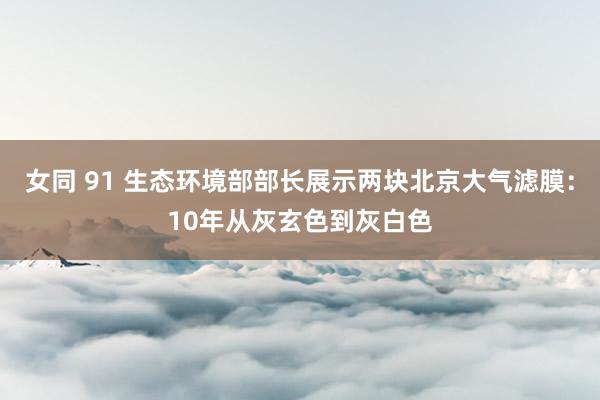 女同 91 生态环境部部长展示两块北京大气滤膜：10年从灰玄色到灰白色