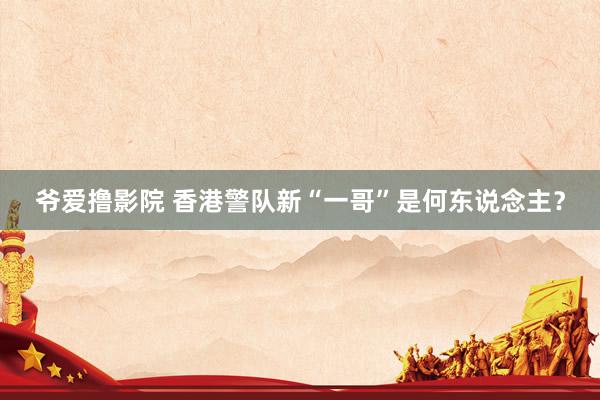 爷爱撸影院 香港警队新“一哥”是何东说念主？