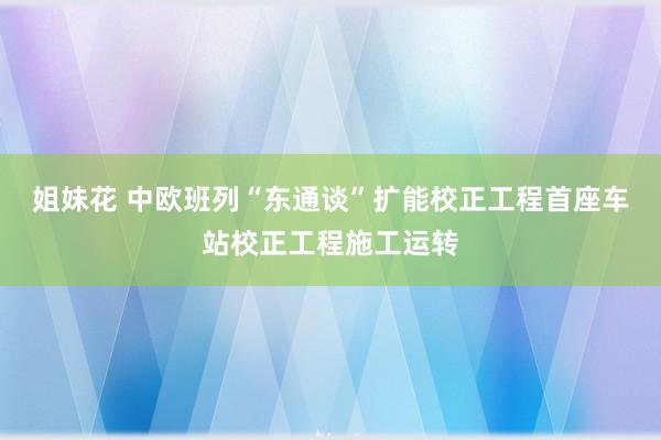 姐妹花 中欧班列“东通谈”扩能校正工程首座车站校正工程施工运转