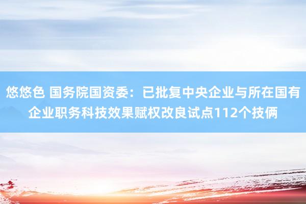 悠悠色 国务院国资委：已批复中央企业与所在国有企业职务科技效果赋权改良试点112个技俩