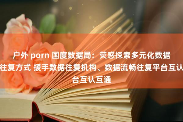 户外 porn 国度数据局：荧惑探索多元化数据流畅往复方式 援手数据往复机构、数据流畅往复平台互认互通