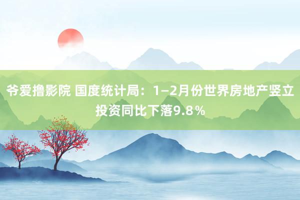 爷爱撸影院 国度统计局：1—2月份世界房地产竖立投资同比下落9.8％